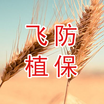 飞防植保